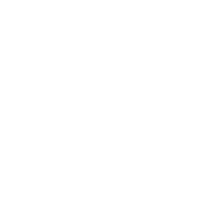 drop inn white logo